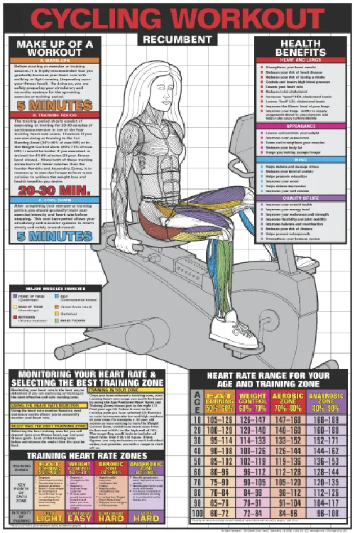 Recumbent Workout