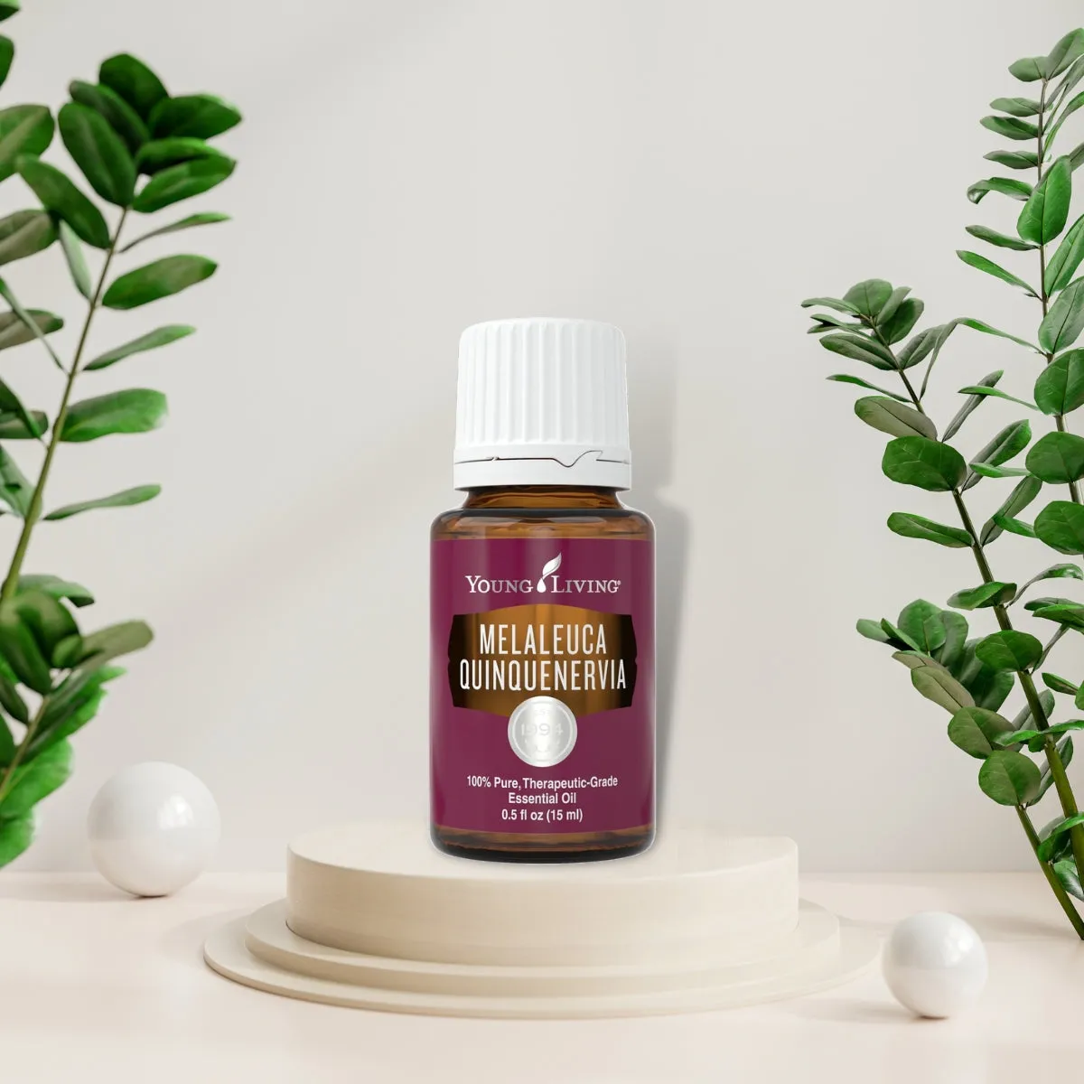 Young Living Melaleuca Quinquenervia Essential Oil - 15ml