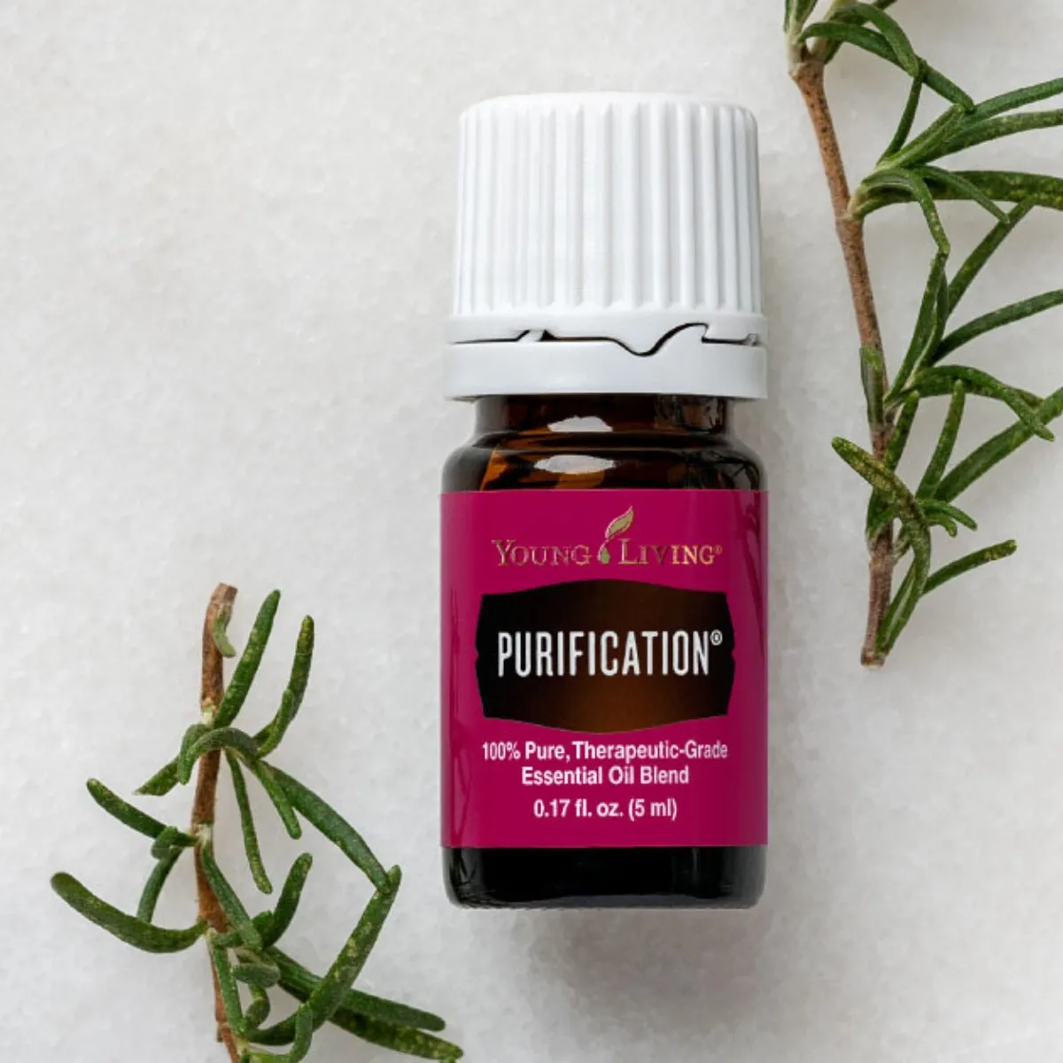 Young Living Purification Essential Oil Blend - 5ml|15ml