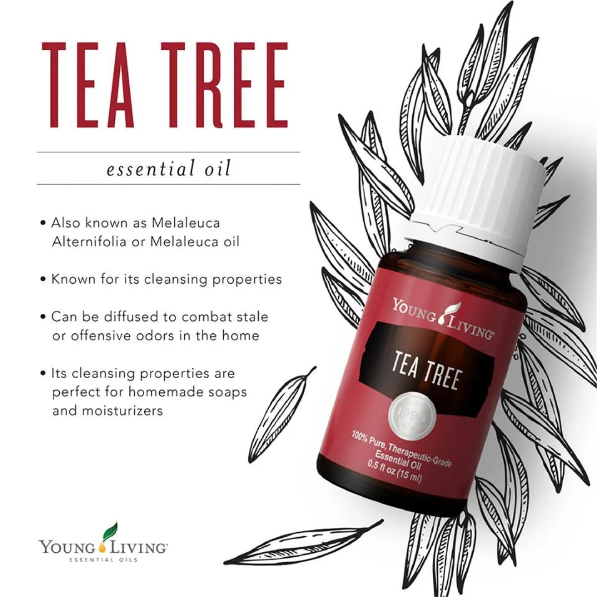 Young Living Tea Tree Essential Oil - 15ml